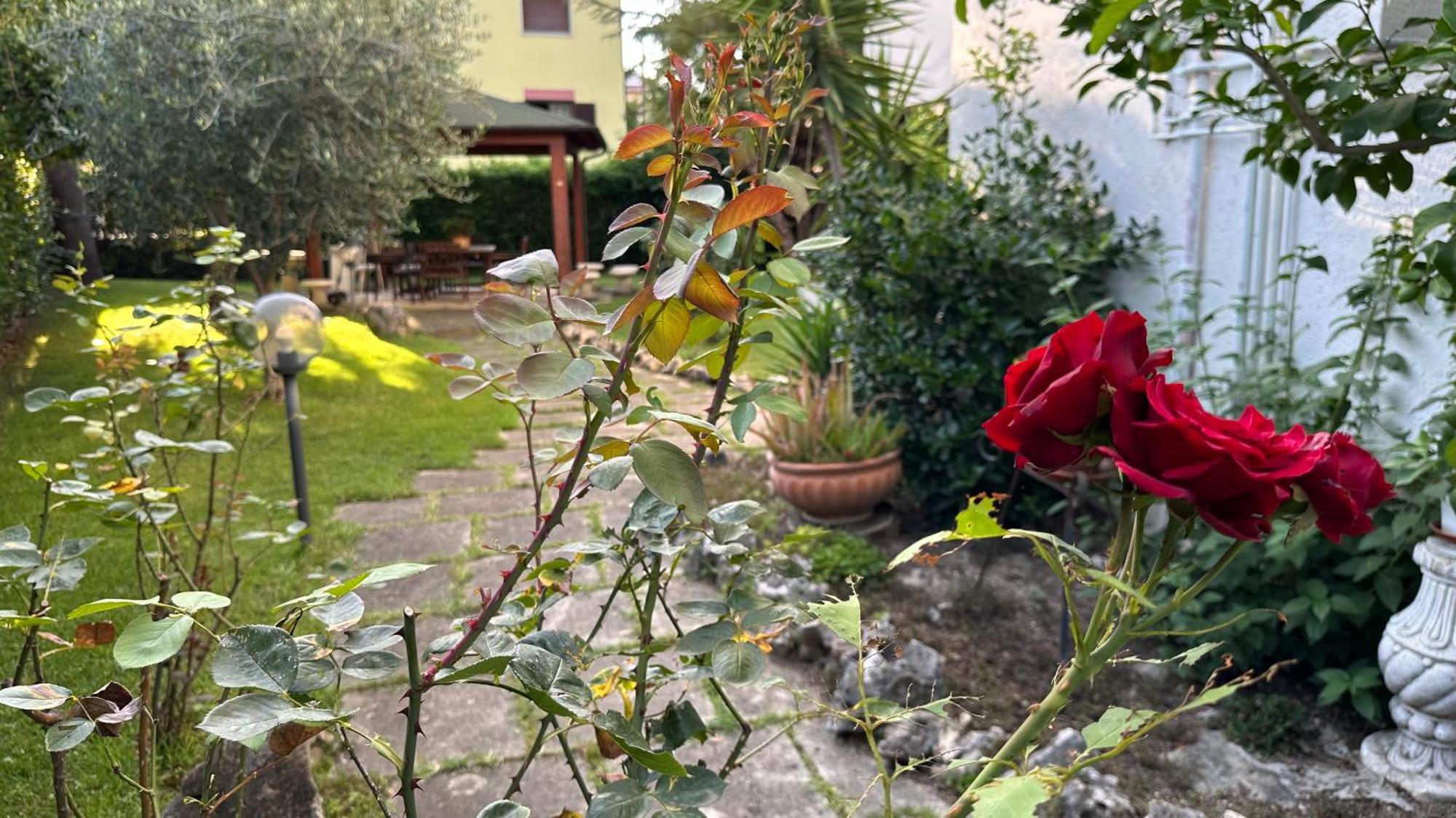 La Casa Di Gemma B&B Villa Vomano Eksteriør bilde
